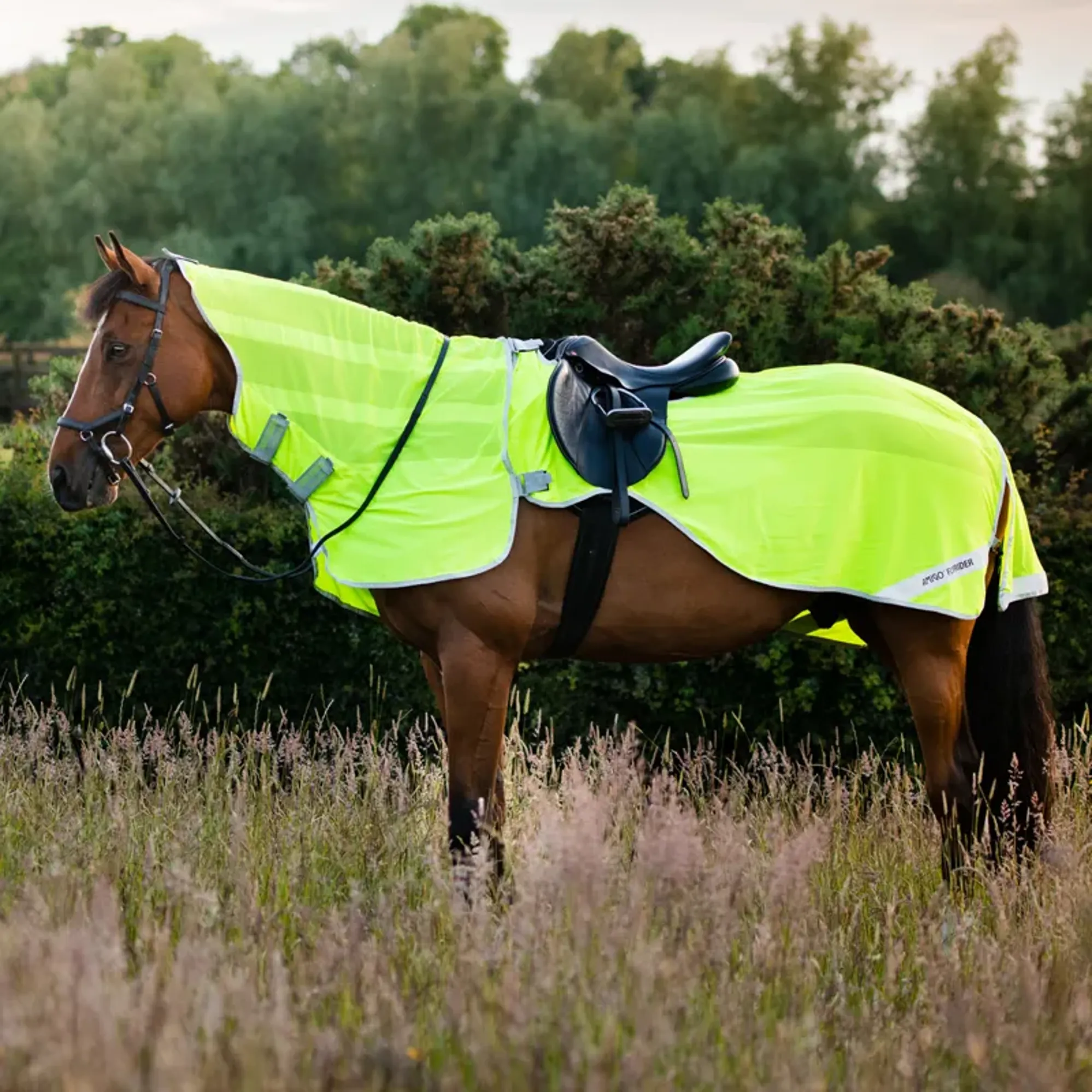 Fly Rug Use Amigo Flyrider Full Neck Fly Rug Exercise Sheet - Fluorescent