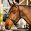 Amigo Headcollar and Lead Rope Set - Black