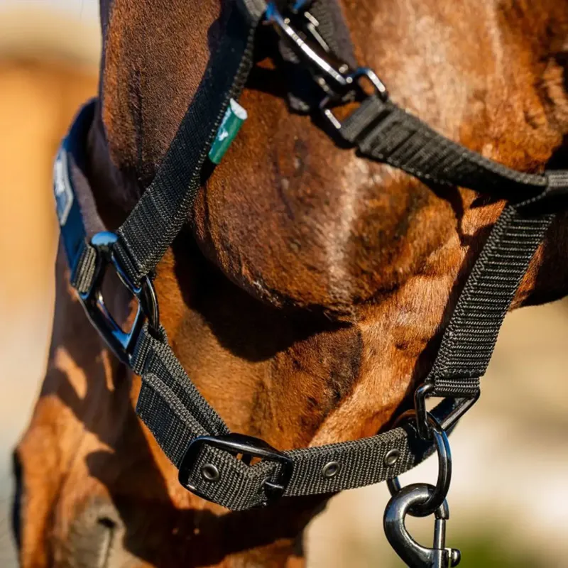 Amigo Headcollar and Lead Rope Set - Black-1