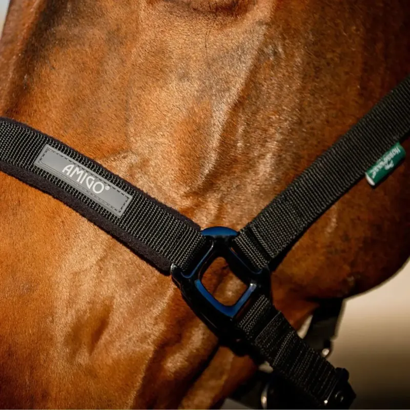 Amigo Headcollar and Lead Rope Set - Black-2