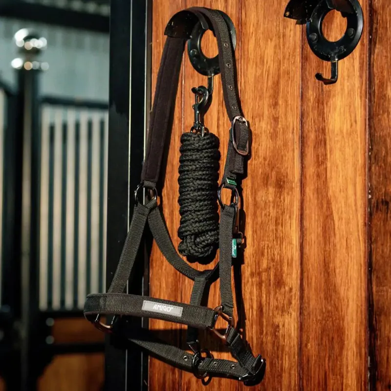 Amigo Headcollar and Lead Rope Set - Black-3