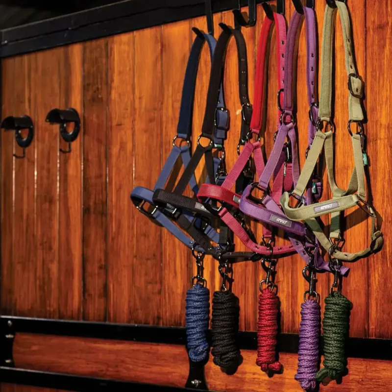 Amigo Headcollar and Lead Rope Set - Black-5