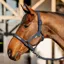 Amigo Headcollar and Lead Rope Set - Navy