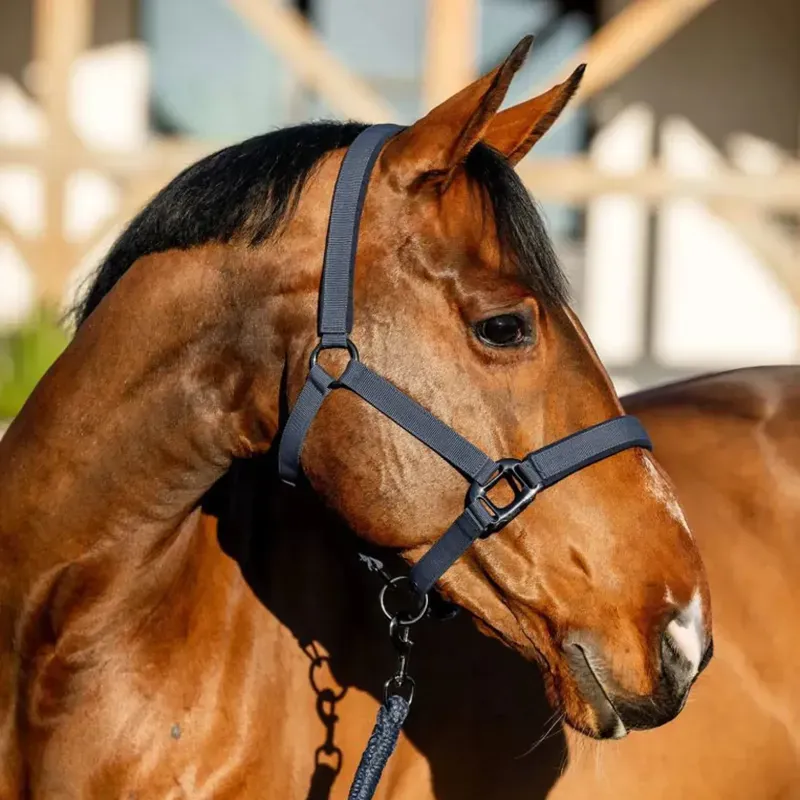 Amigo Headcollar and Lead Rope Set - Navy-1