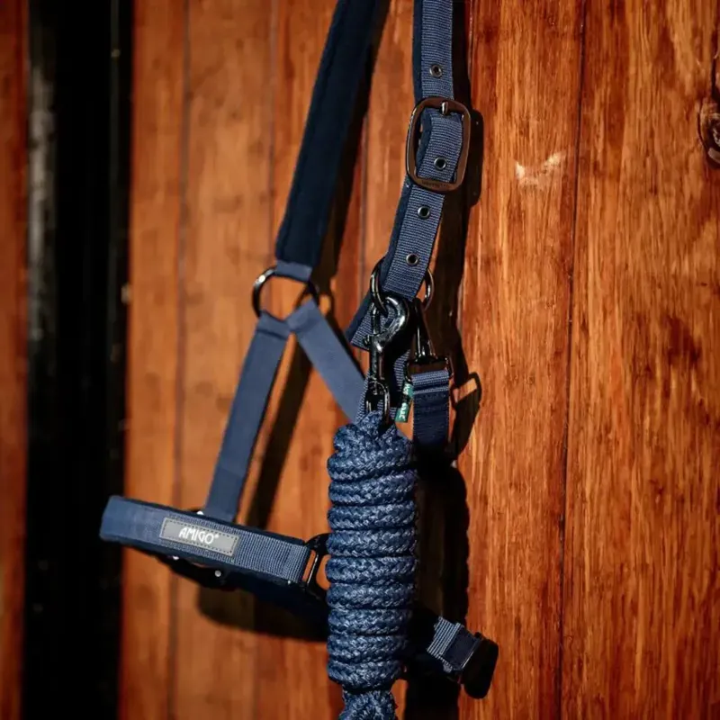 Amigo Headcollar and Lead Rope Set - Navy-4