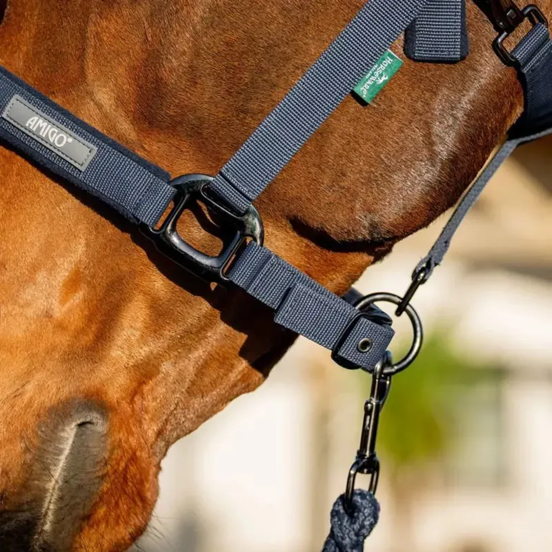 Amigo Headcollar and Lead Rope Set - Navy-5