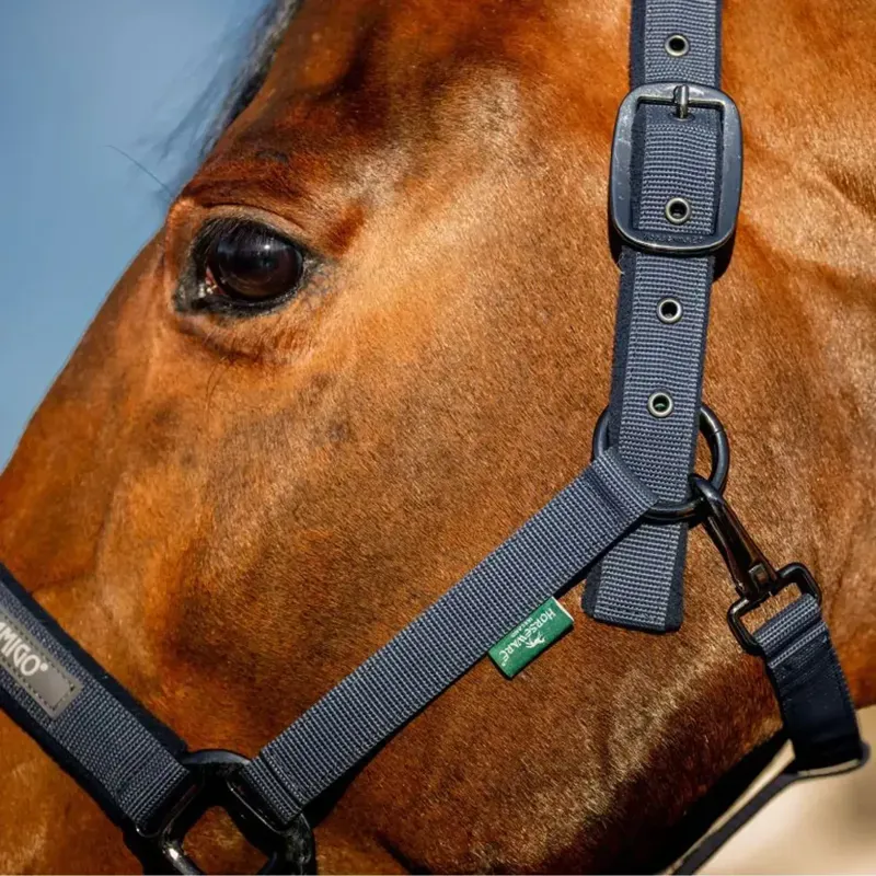 Amigo Headcollar and Lead Rope Set - Navy-6