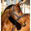 Amigo Headcollar and Lead Rope Set - Navy