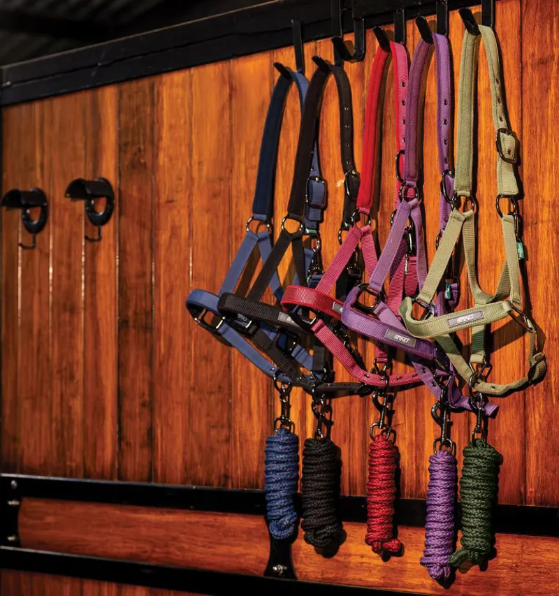 Amigo Headcollar and Lead Rope Set - Navy-1