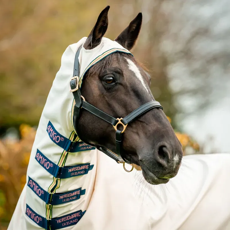 Amigo Ripstop Hoody Combo Neck Fly Rug - Chalk/Navy/Rose-6