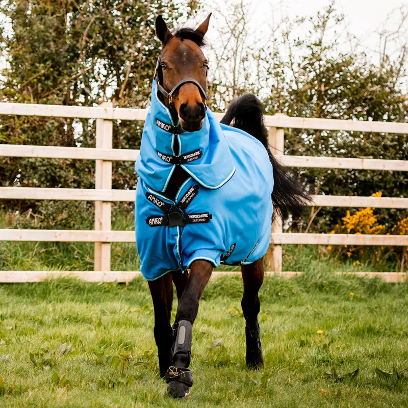 Amigo Hero 900 Plus 200g Disc Front Turnout Rug - Daphne Blue/Black-2