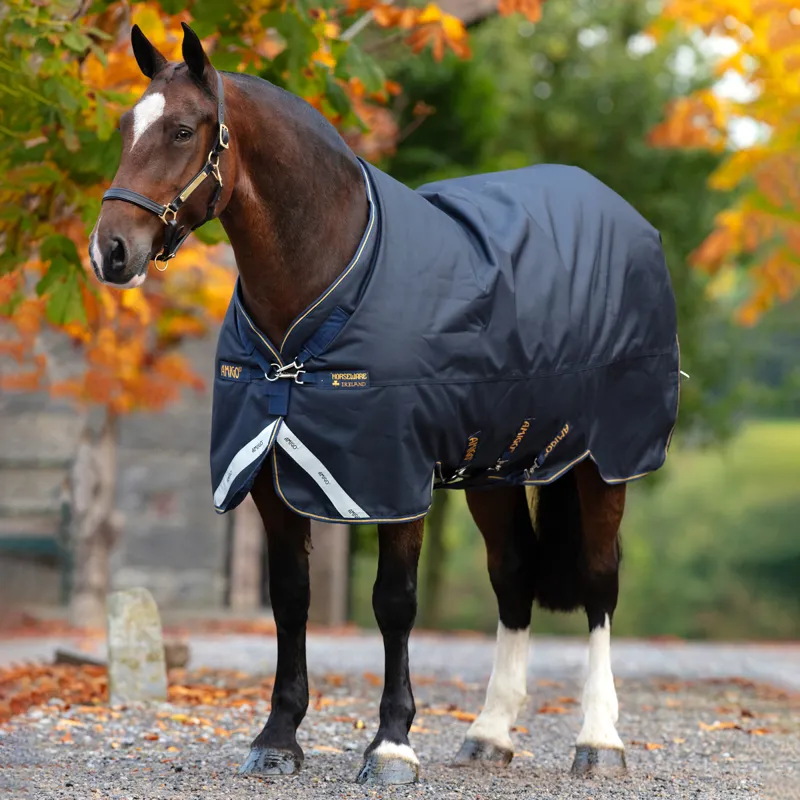 Amigo Bravo 12 XL Standard Neck 250g Turnout Rug - Navy/Navy/Gold