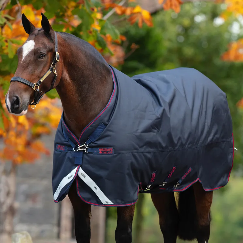 Amigo Bravo 12 XL Standard Neck 0g Turnout Rug - Navy/Navy/Red-1