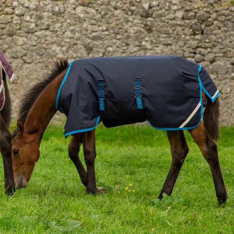 Amigo Foal Ripstop 50g Turnout Rug - Navy/Electric Blue-1
