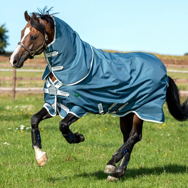 Amigo AmECO 1200D Plus 100g Turnout Rug - Teal/Grey
