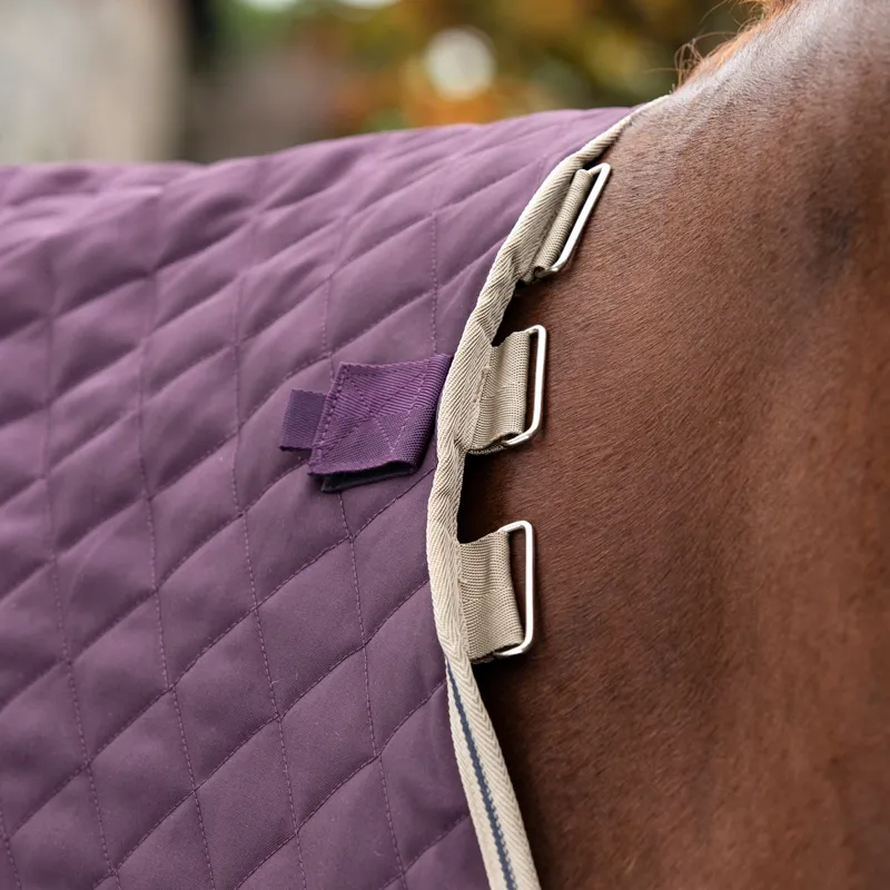 Amigo Disc Front Plus 200g Stable Rug - Fig/Navy/Tan-3