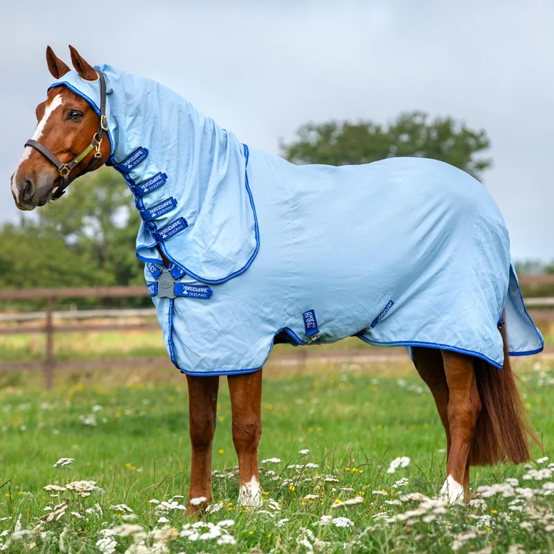 Amigo Pony Ripstop Hoody Combo Neck Fly Rug - Azure Blue - 4ft3-1