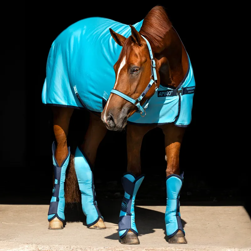 Amigo Jersey Cooler Rug - Delphinium Blue/Navy - 5ft9-1