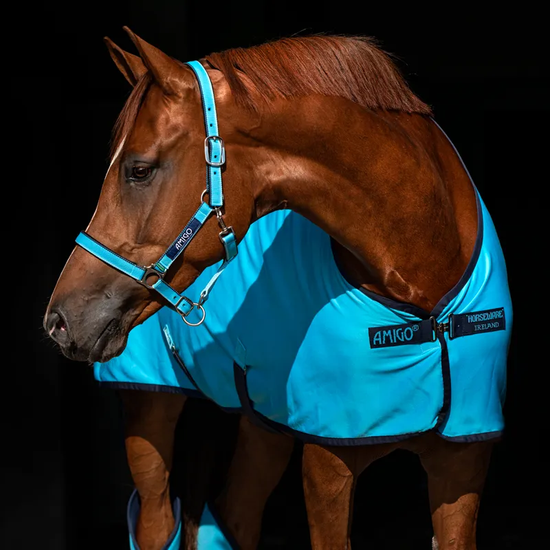 Amigo Jersey Cooler Rug - Delphinium Blue/Navy - 5ft9-3