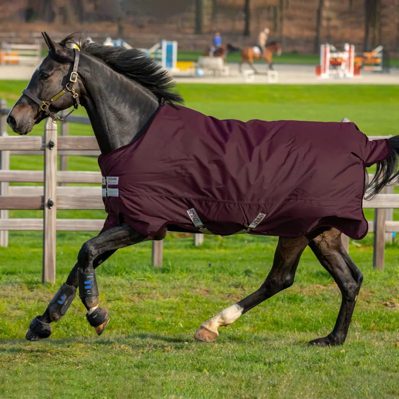 Amigo Hero 600D with Ripstop 50g Fleece Lined Turnout Rug - Fig/Fig