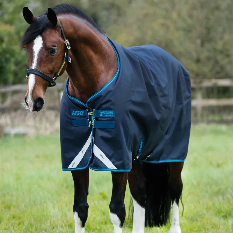 Amigo Bravo 12 100g Turnout Rug - Navy/Electric Blue-1