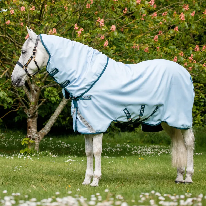 Amigo Plant-Dye 50g Turnout Rug - Blue/Navy
