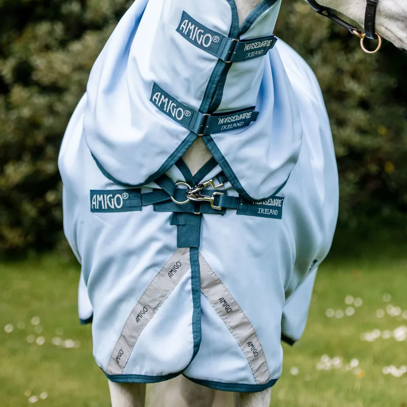 Amigo Plant-Dye 50g Turnout Rug - Blue/Navy-1