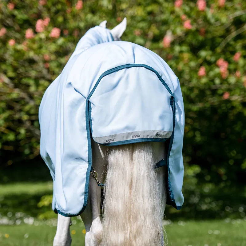 Amigo Plant-Dye 50g Turnout Rug - Blue/Navy-2