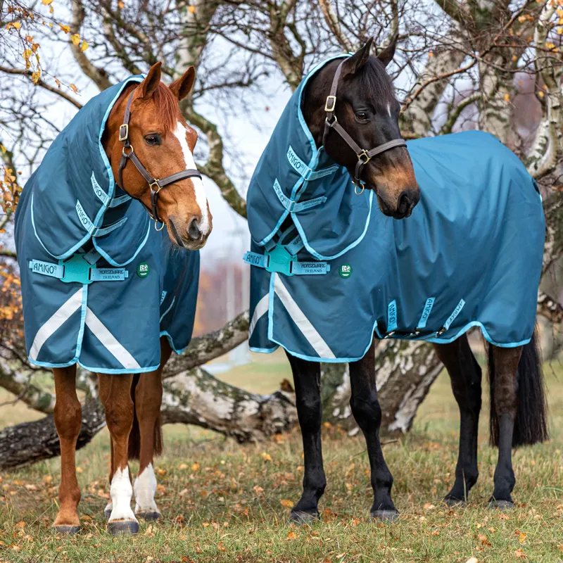 Amigo AmECO 1200D Plus 250g Turnout Rug - Dark Blue/Teal-1