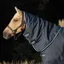 Amigo Bravo 12 150g Turnout Hood - Navy/Blue/Strong Blue/Black