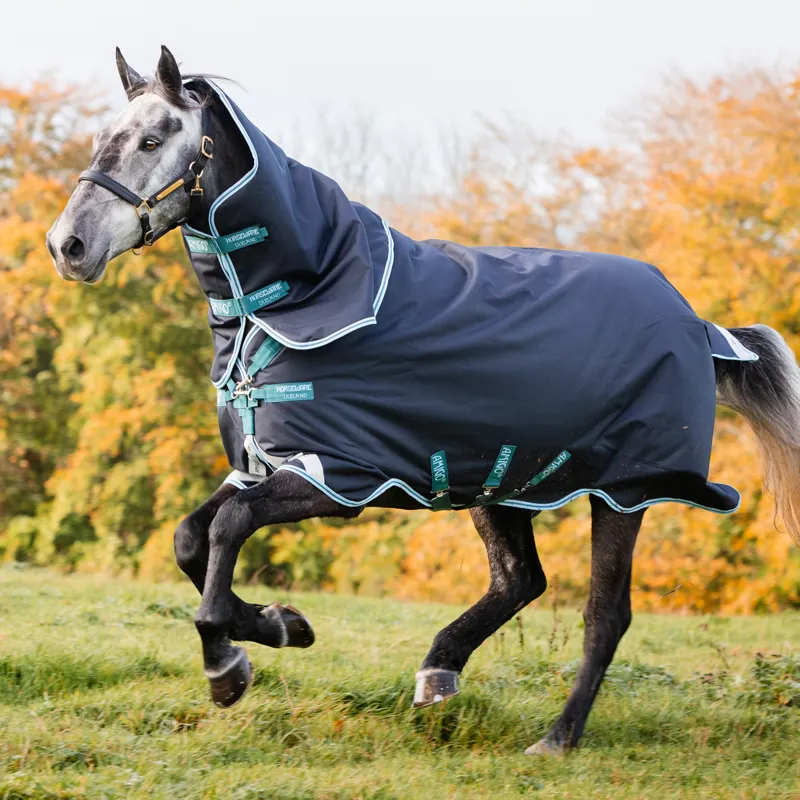 Amigo Bravo 12 Plus 250g V-Front Turnout Rug - Navy/Aqua