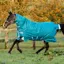Amigo Bravo 12 Plus 400g Turnout Rug - Storm Green/Turquoise