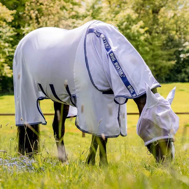 Amigo Bug Buster Fly Rug - Lavender/Atlantic Blue/Ivory-1