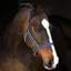 Amigo Headcollar - Navy/Silver