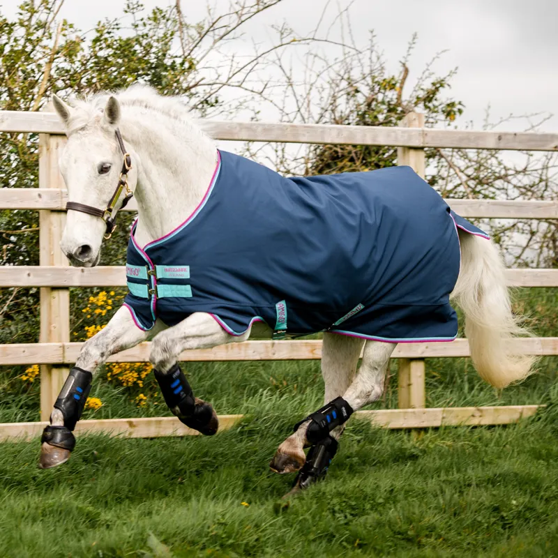 Amigo Pony Hero 900D 0g Turnout Rug - Dark Blue/Capri/Raspberry-1