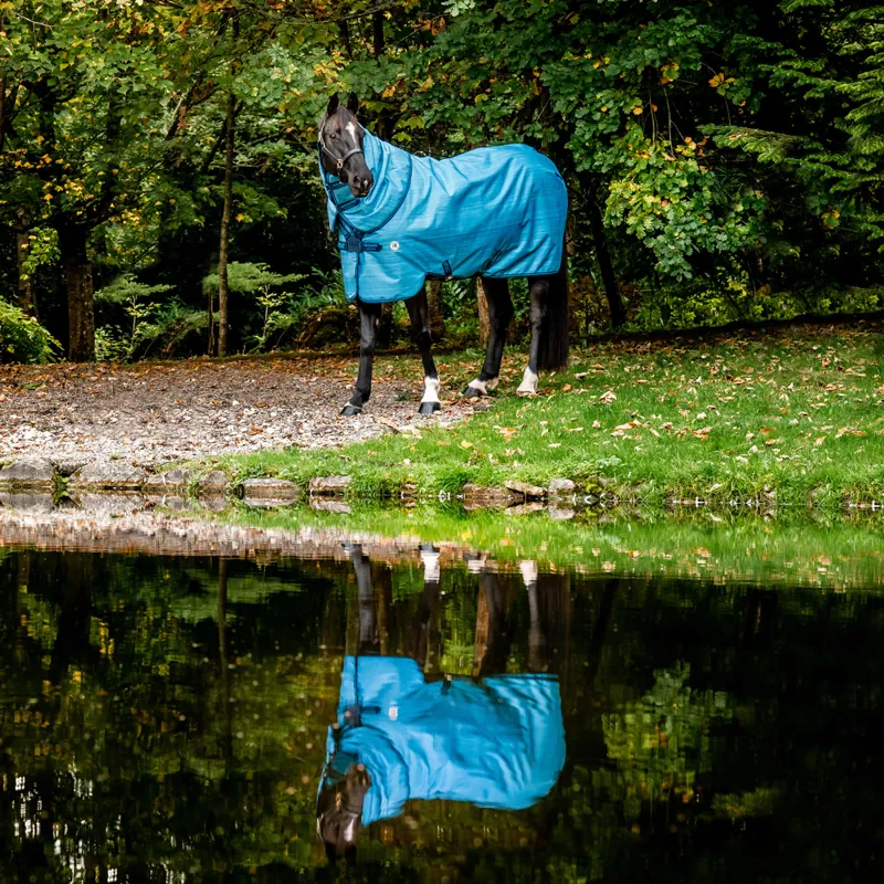 Amigo Hero 900 Revive Plus 50g Turnout Rug - Ocean Blue-9