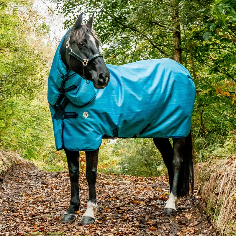 Amigo Hero 900 Revive Plus 50g Turnout Rug - Ocean Blue-5