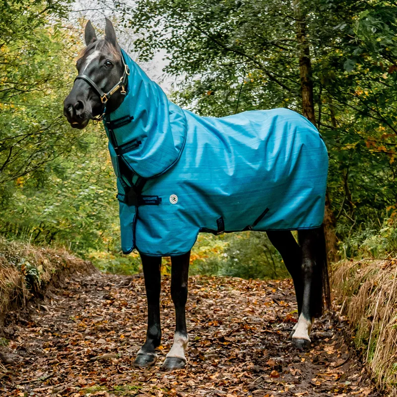 Amigo Hero 900 Revive Plus 50g Turnout Rug - Ocean Blue-7