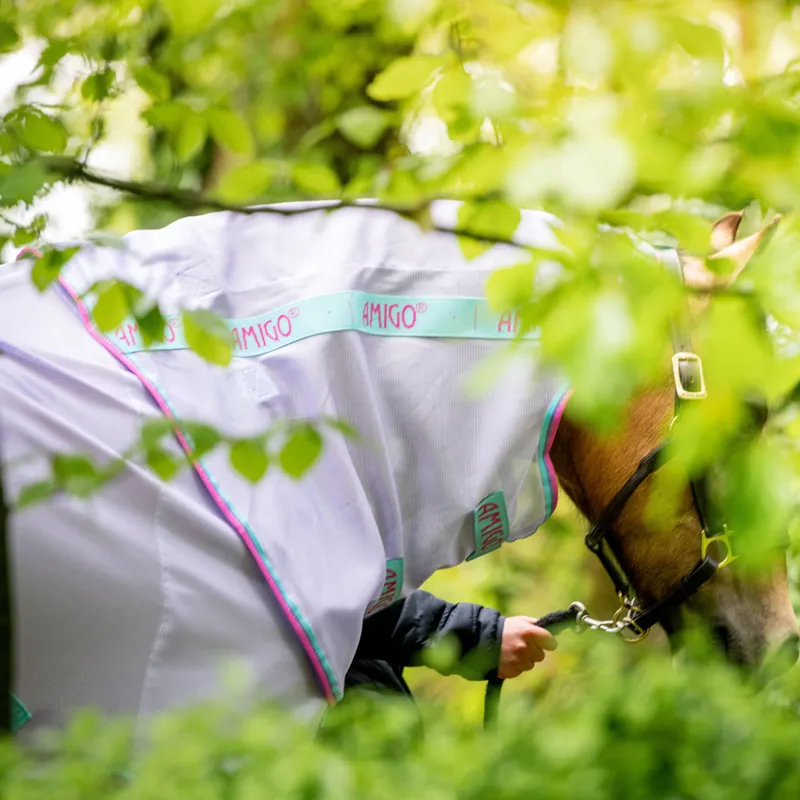 Amigo Pony Bug Rug Detach-A-Neck Fly Rug - Lavender/Capri/Raspberry-1