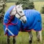 Amigo Bravo 12 Reflectech Plus 250g Turnout Rug - Blue/Reflective/Pink