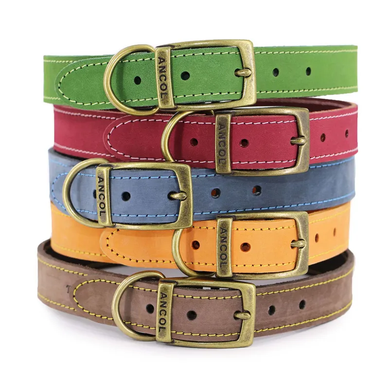 Ancol Timberwolf Leather Dog Collar - Sable-5