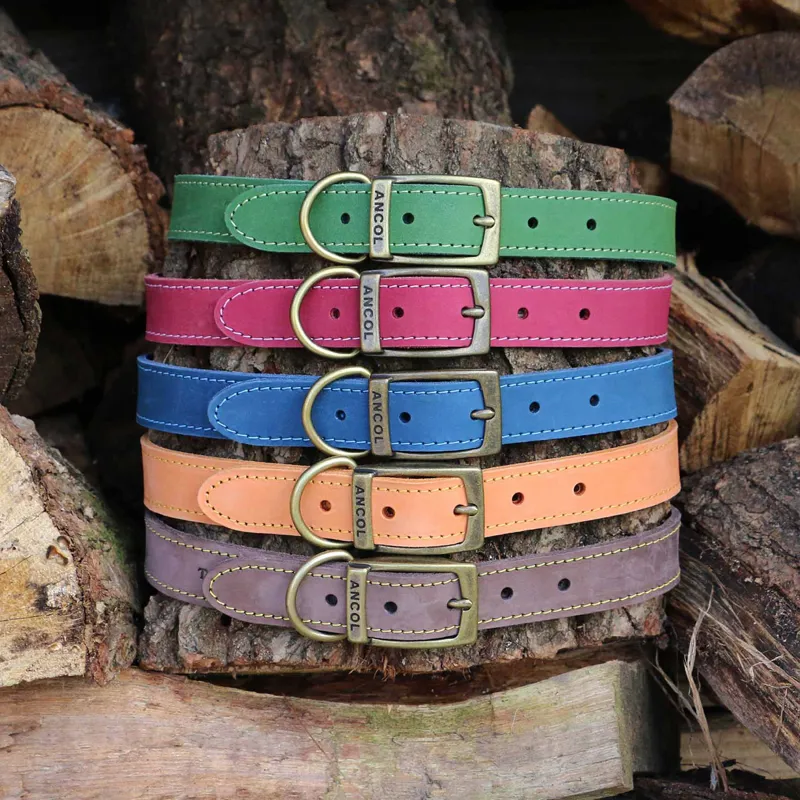 Ancol Timberwolf Leather Dog Collar - Sable-6