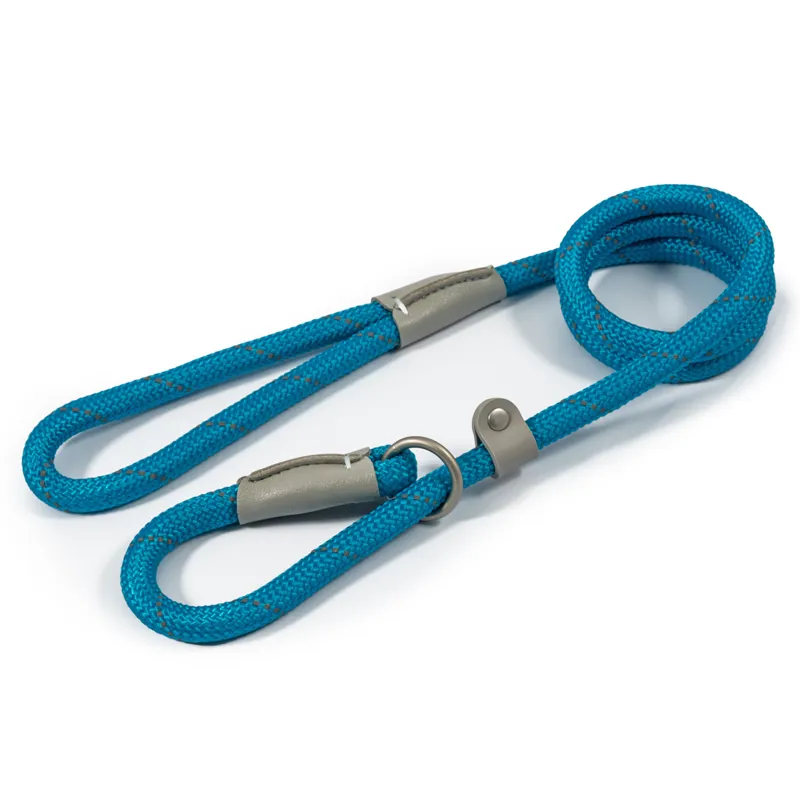 Ancol Viva Reflective Dog Slip Lead - Blue