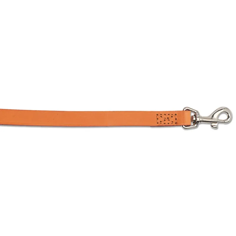 Ancol Classic Leather Dog Lead - Tan