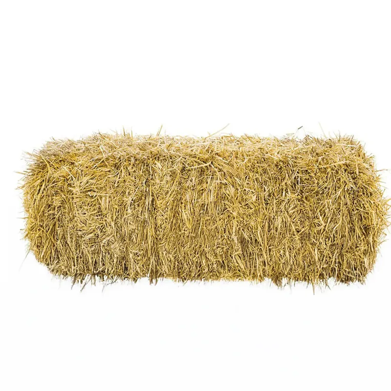 Angus Farm 2026 Small Hay Bale