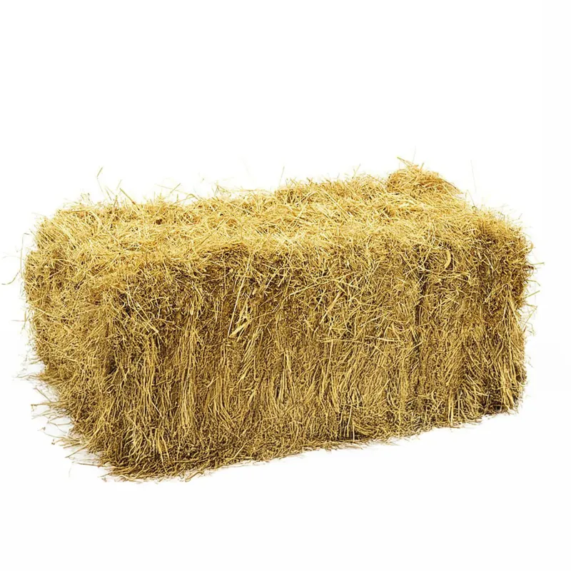 Angus Farm 2025 Small Hay Bale-1