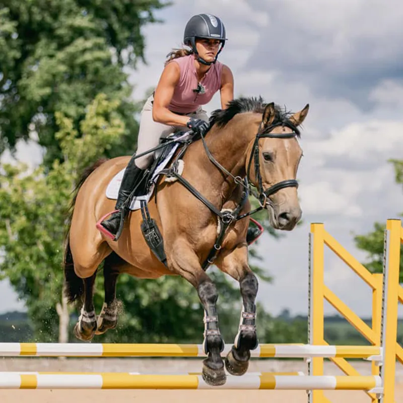 Animalife Vetrofit Syringe-3