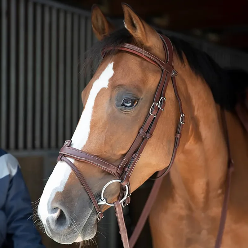 Antares Origin Flash Bridle - Brown