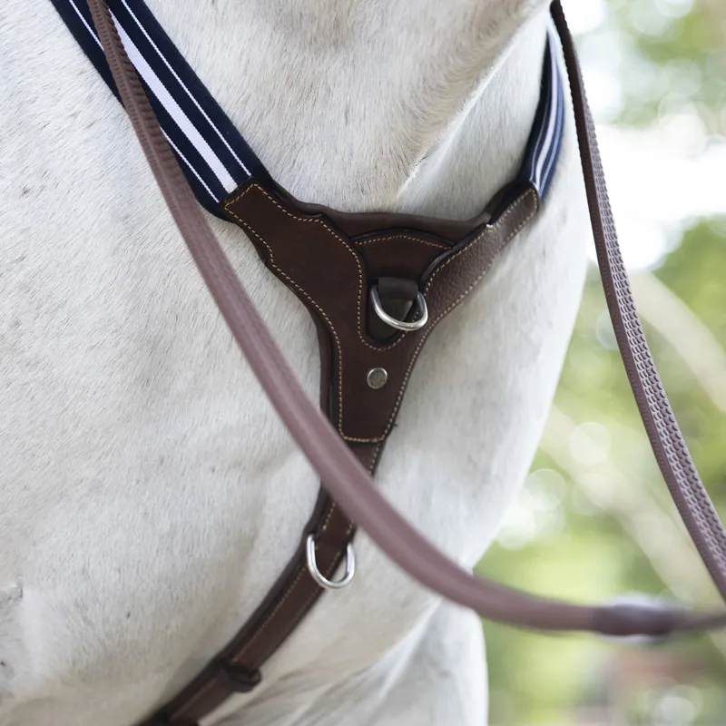 Antares Grained Elastic Breastplate - Brown-3