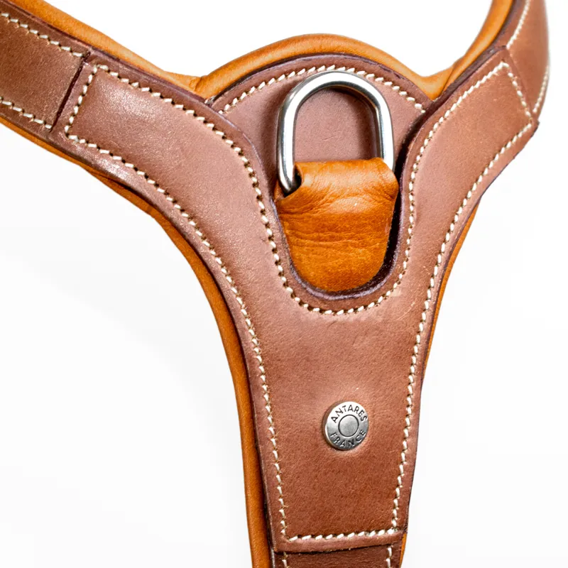 Antares Precision Breastplate with Loops - Brown-1